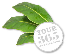 Your 365 destination